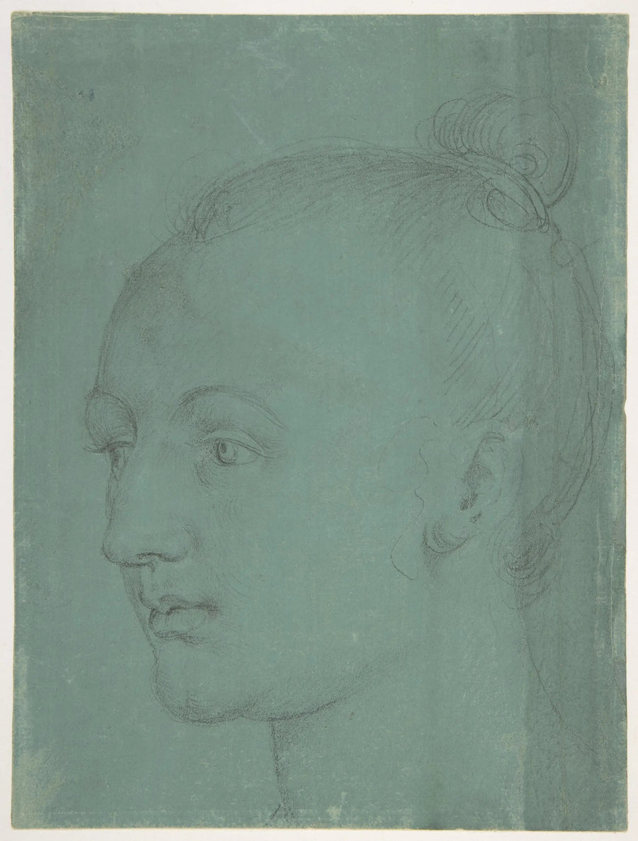 Cabeça de jovem mulher - Albrecht Dürer