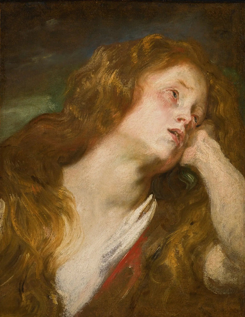 Cabeça de jovem mulher - Antoine van Dyck
