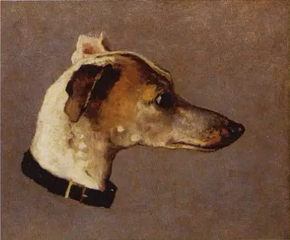 Cabeça de Galgo - Claude Monet