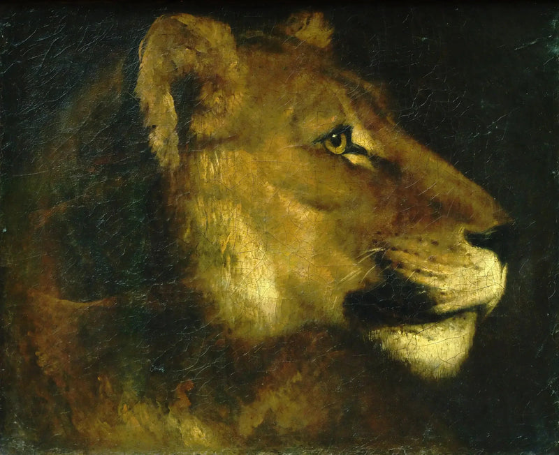 Cabeça de leoa - Théodore Géricault