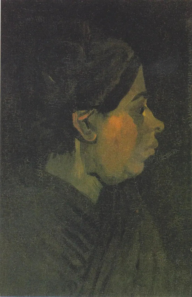 Cabeça de camponesa - Vincent van Gogh