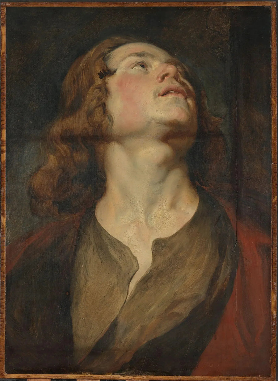 Cabeça de São João - Antoine van Dyck