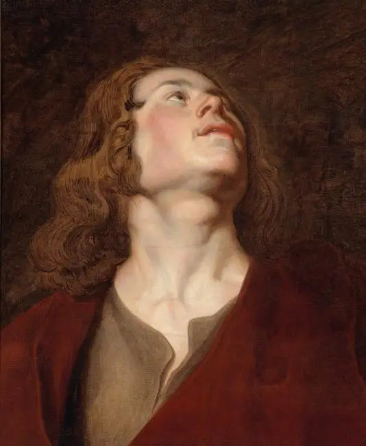 Cabeça de São João - Peter Paul Rubens