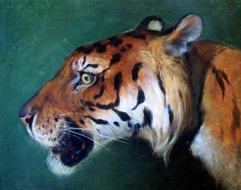 Cabeça de tigre - Eugène Delacroix