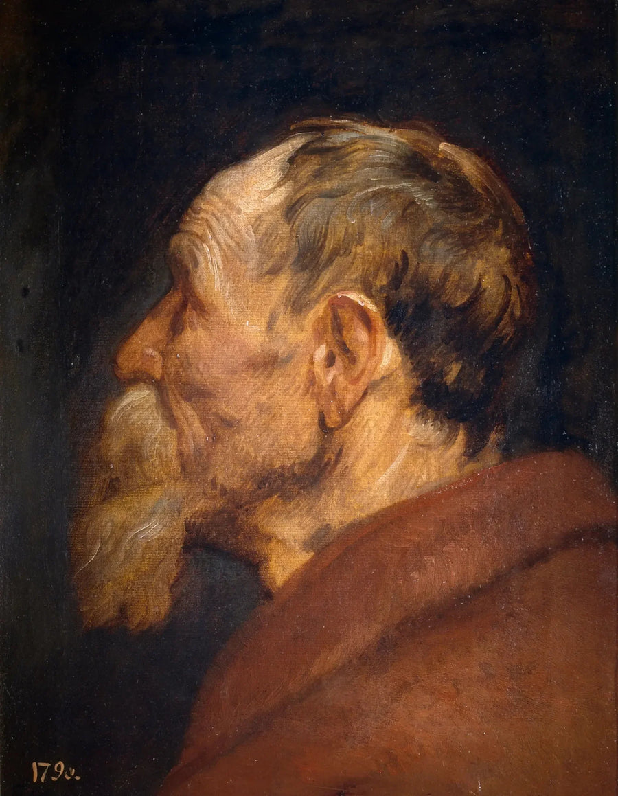 Cabeça de idoso - Antoine van Dyck