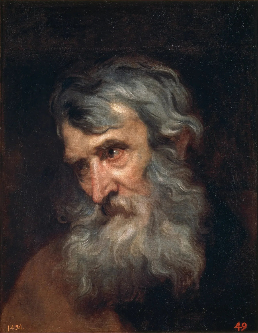 Cabeça de idoso - Antoine van Dyck