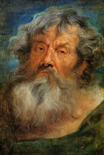 Cabeça de idoso - Antoine van Dyck