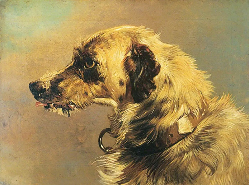 Cabeça de um cão de caça - Edwin Henry Landseer