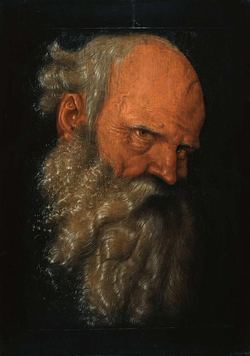 Cabeça de um homem velho barbudo - Hans Baldung Grien
