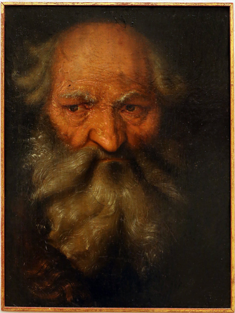 Cabeça de um homem idoso - Hans Baldung Grien