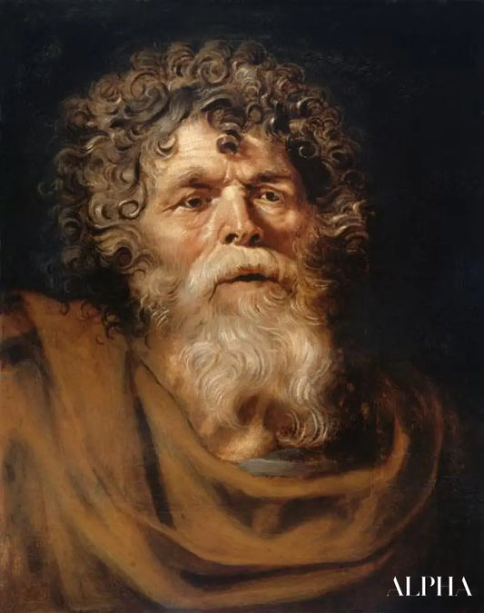 Tête d'un vieil homme - Peter Paul Rubens - Reproductions de tableaux et peintures haut de gamme