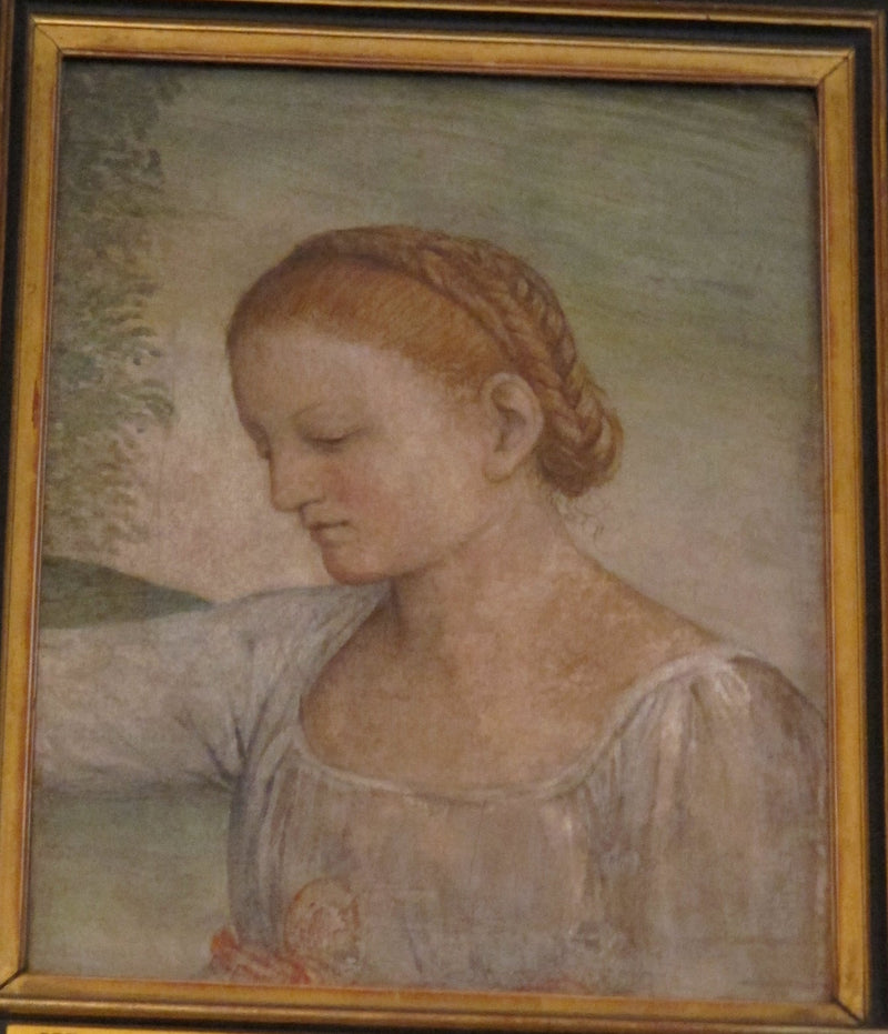 Cabeça de uma menina - Bernardino Luini