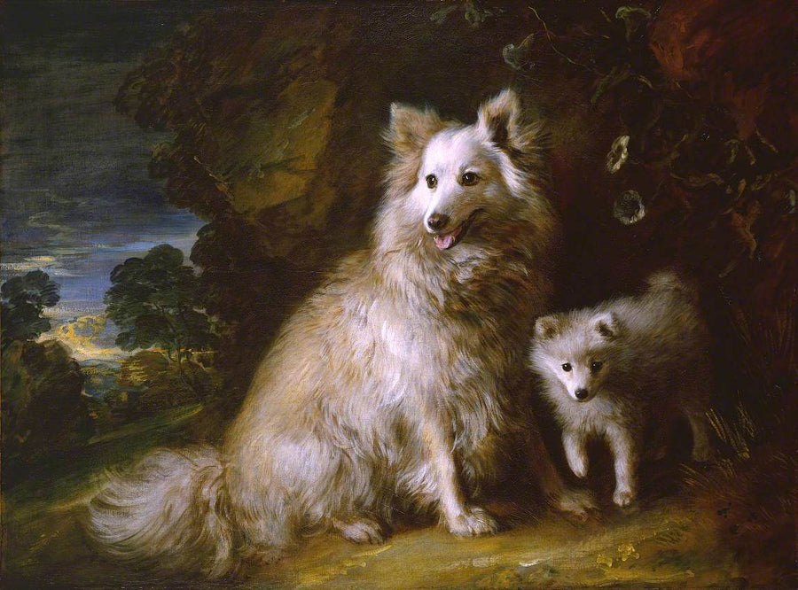 Pomeranian Bitch and Puppy - Thomas Gainsborough