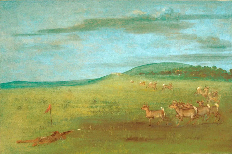 Tiro em uma anta atraída - George Catlin