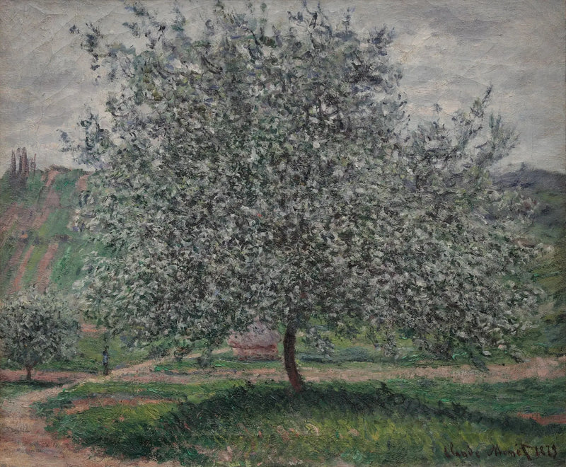 Título traduzido não disponível - Claude Monet