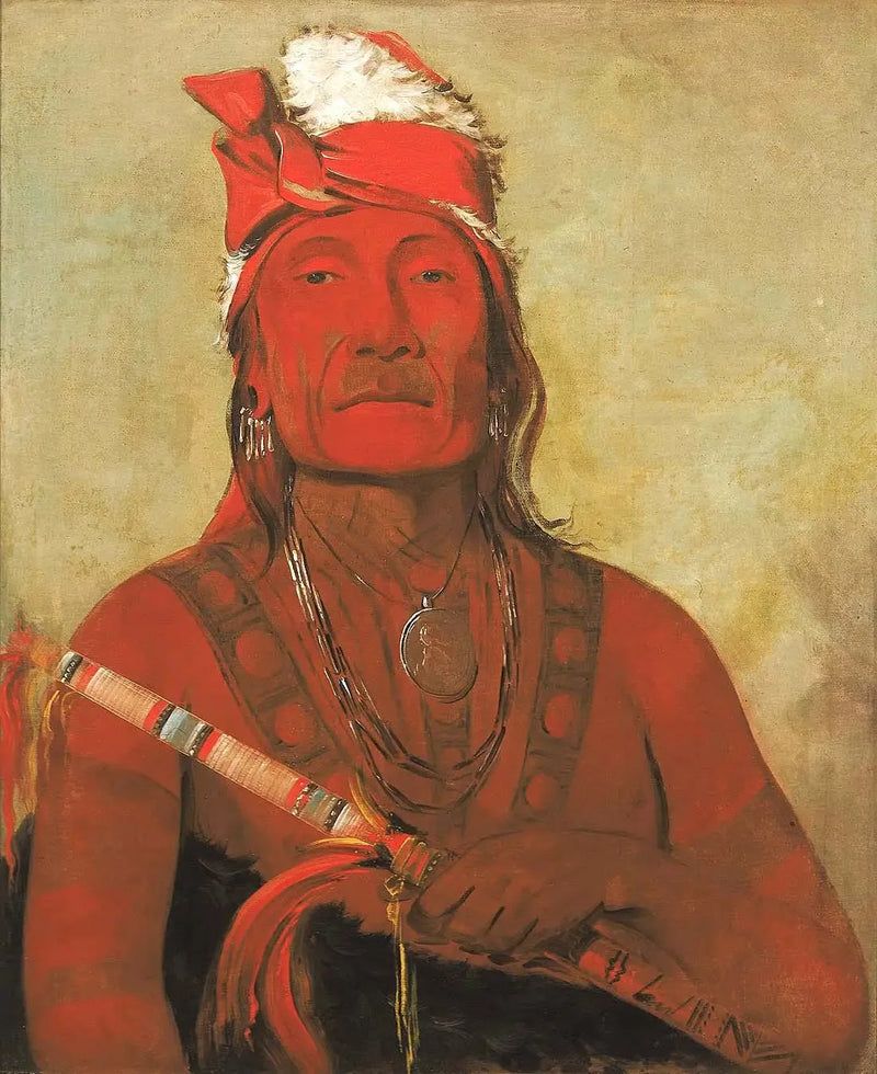 Toh-kí-e-to, pedra com chifres, um chefe - George Catlin