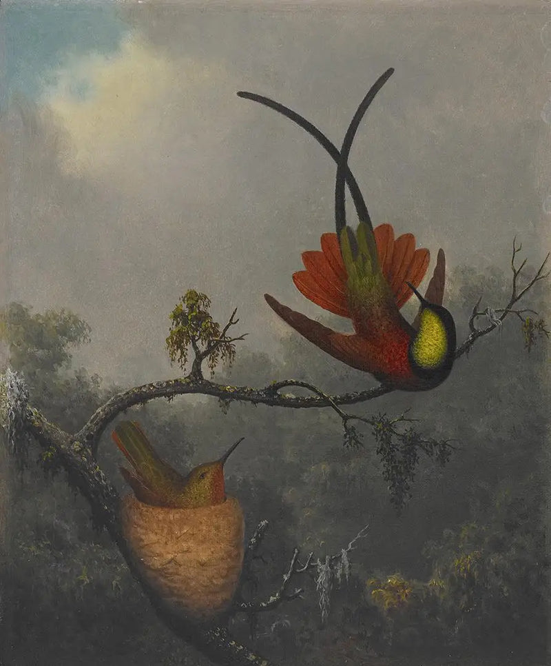 Topázio carmesim - Martin Johnson Heade