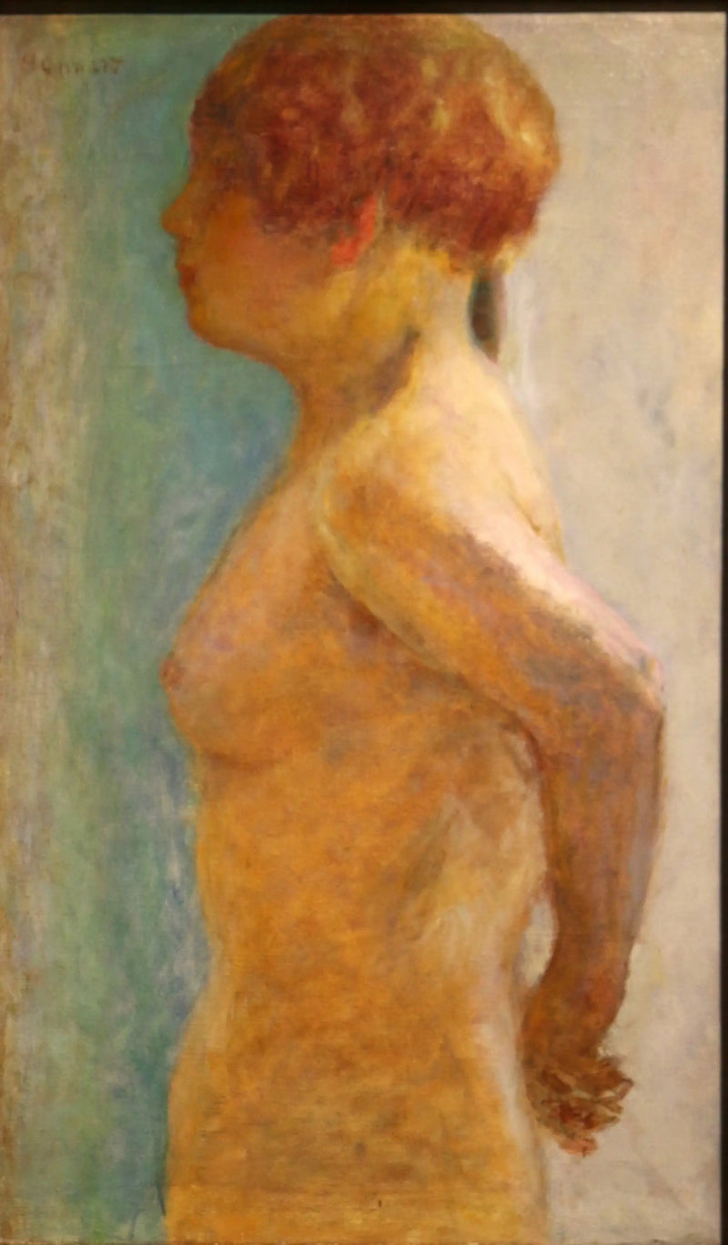 Torso de mulher, de perfil - Pierre Bonnard
