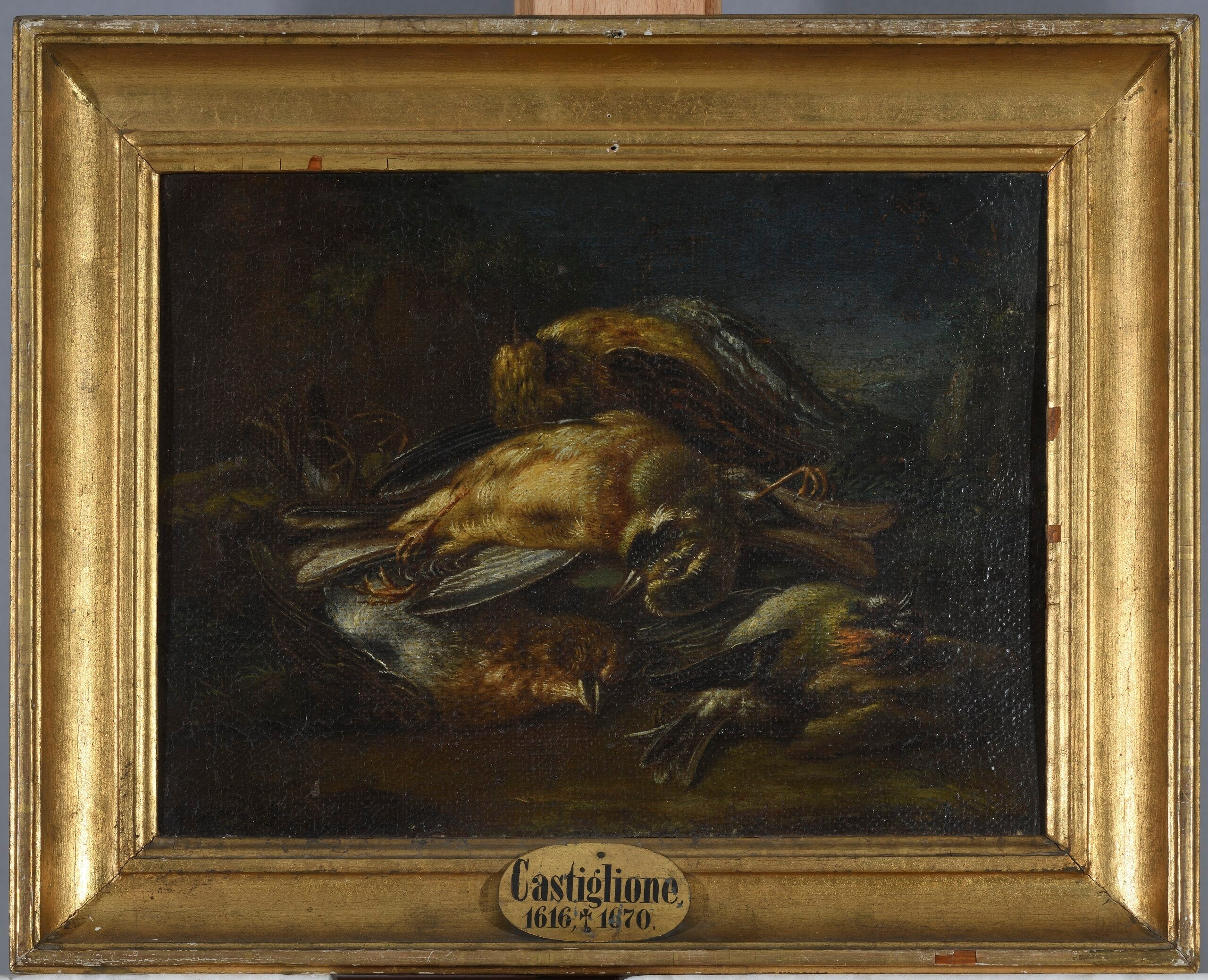 Tote Vögel - Giovanni Benedetto Castiglione image 1 copie peinte à la main à l’huile