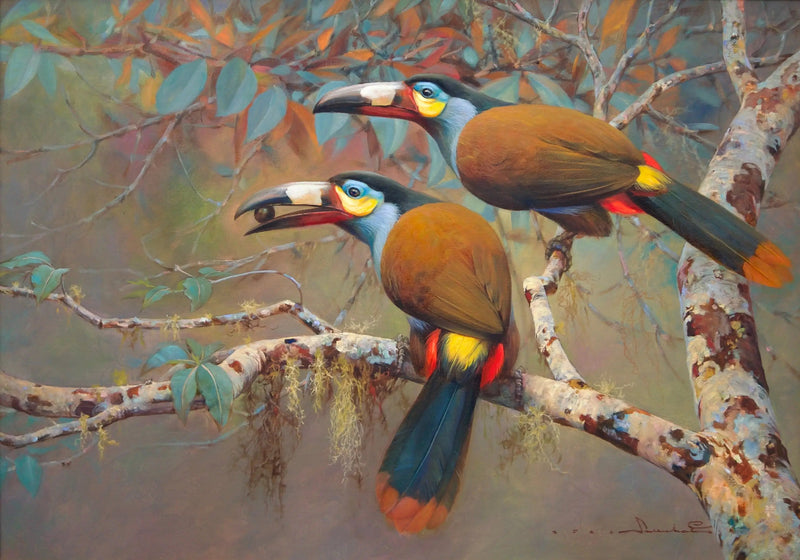Tucano das Montanhas | 60 x 90 cm