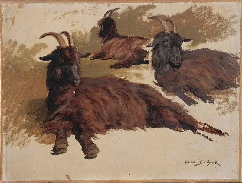 Três cabras descansando - Rosa Bonheur