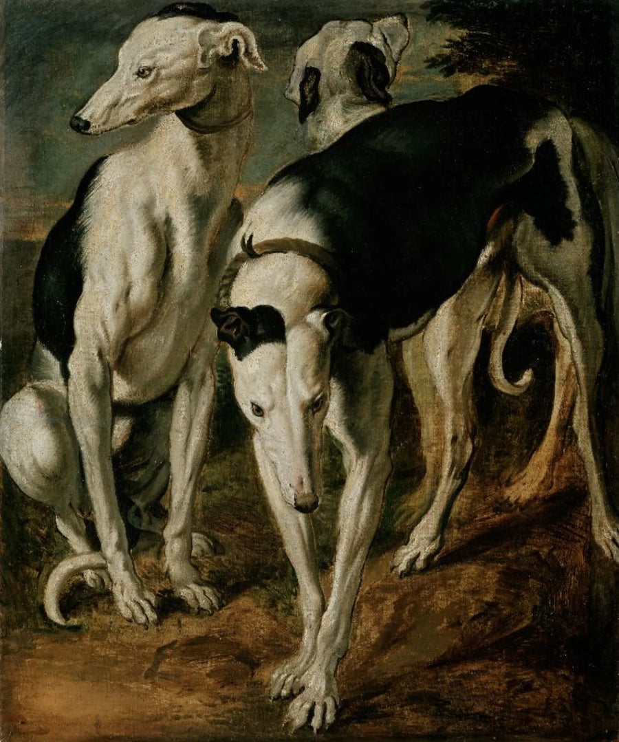 Trois lévriers - Frans Snyders