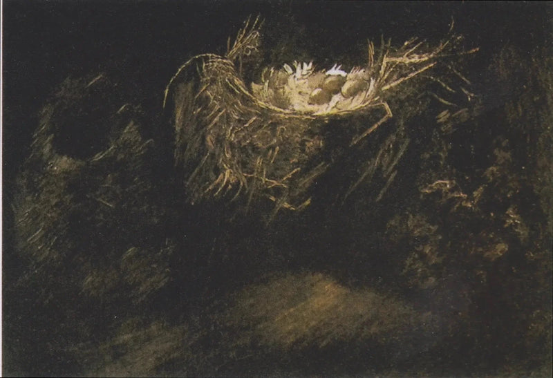 Natureza morta com três ninhos de pássaros - Vincent van Gogh
