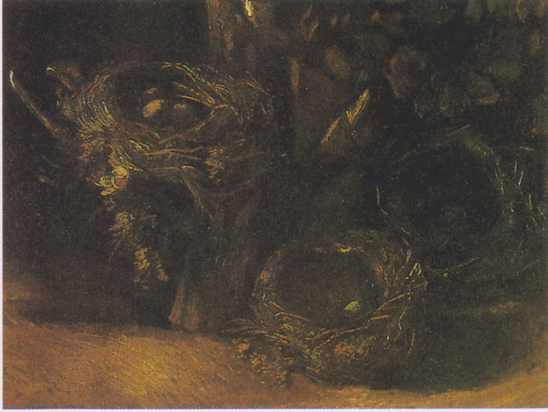 Natureza morta com três ninhos de pássaros - Vincent van Gogh