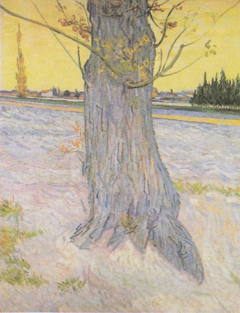Tronco de um velho teixo - Vincent van Gogh