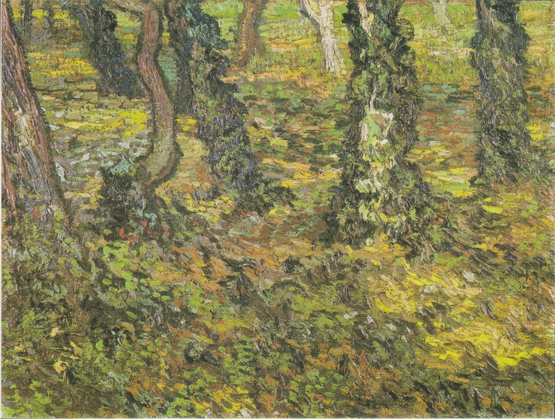 Troncos de árvores com hera - Vincent van Gogh