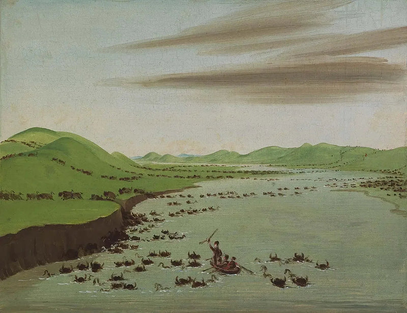 Rebanhos de bisontes atravessando o Alto Mississippi - George Catlin
