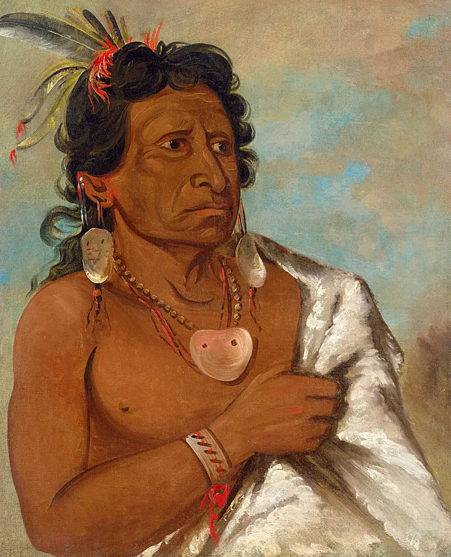 U'sh-ee-kitz, Aquele que luta com uma pena, chefe da tribo - George Catlin