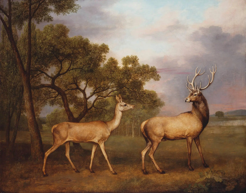 Um cervo macho e uma veada - George Stubbs