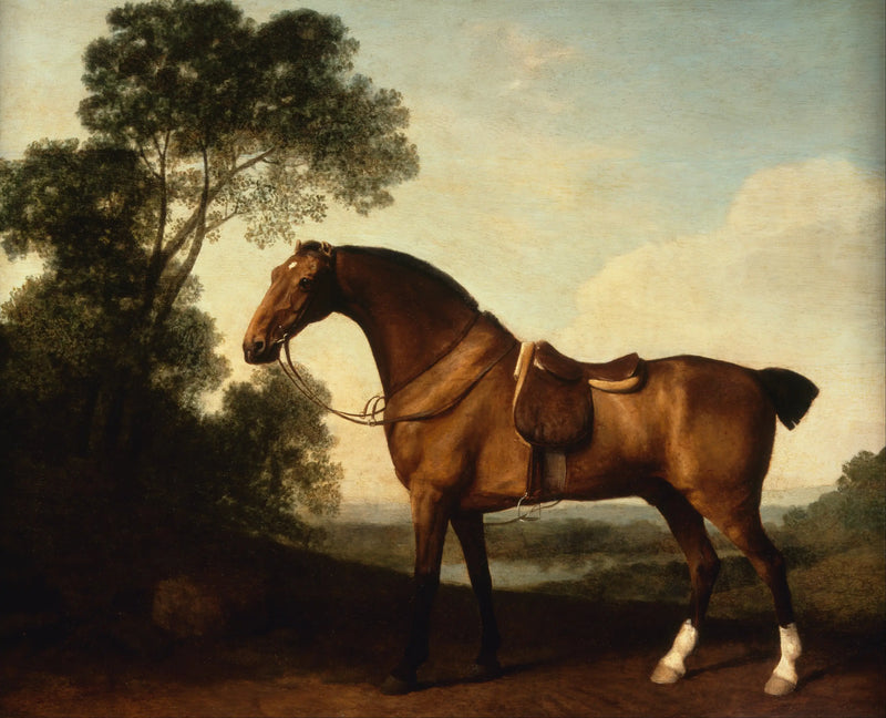 Um caçador de baía selada - George Stubbs