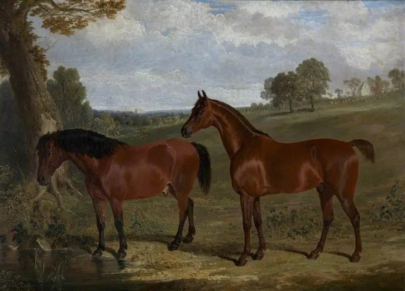 Um cavalo castanho e um pônei em uma paisagem - John Frederick Herring, Sr.
