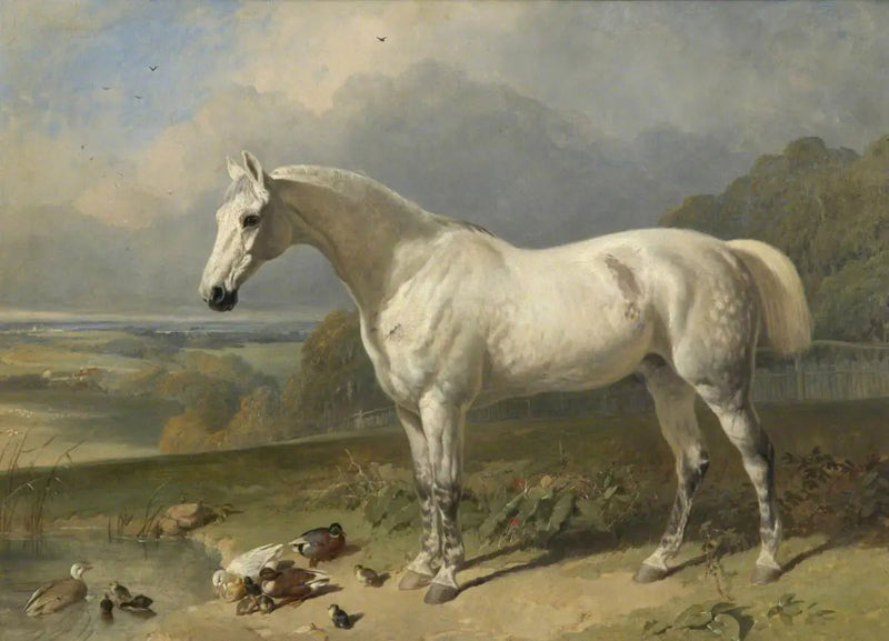 Um cavalo cinza e patos em uma paisagem - John Frederick Herring, Sr.