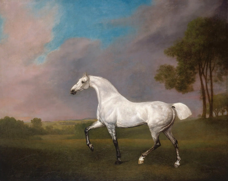 Um cavalo cinza - George Stubbs