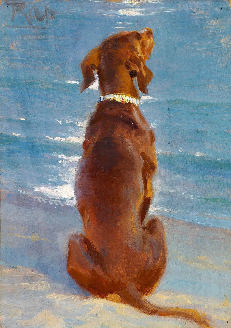 Um cachorro marrom sentado. Rap. - Peder Severin Krøyer