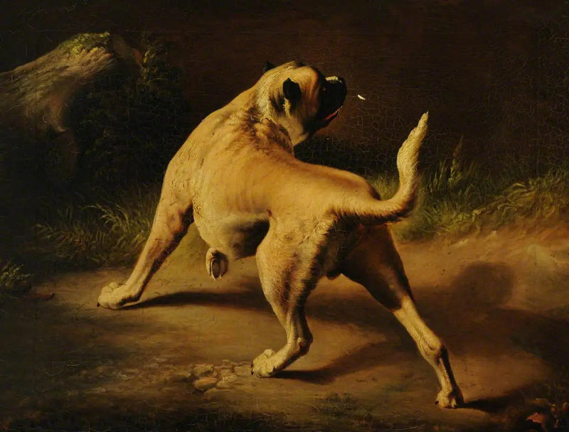 Um cachorro alerta - Edwin Henry Landseer