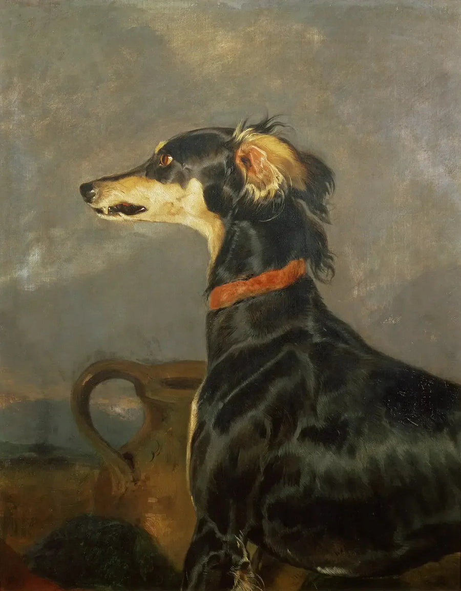 Um cão Saluki - Edwin Henry Landseer