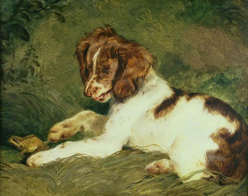 Um filhote de cachorro provoca uma rã - Edwin Henry Landseer