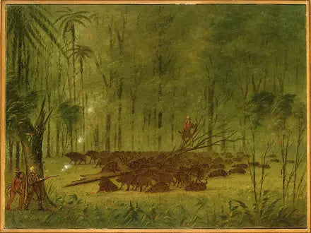 Uma luta com pécaris - Caribe - George Catlin