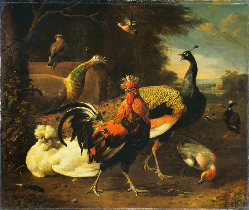 Um galo com outros pássaros - Melchior de Hondecoeter