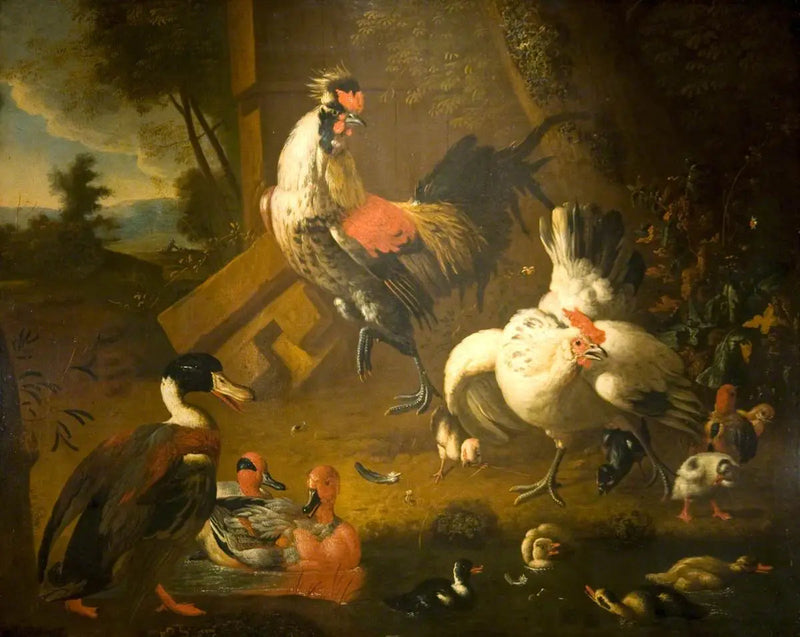 Um galo com uma galinha e três patos - Melchior de Hondecoeter