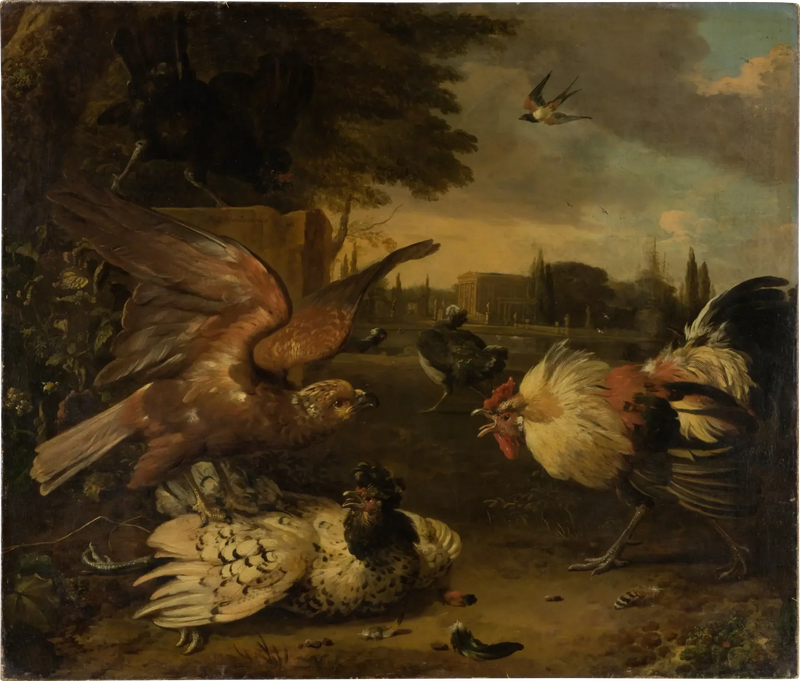 Um galo defende uma galinha de um pássaro de rapina que a ataca - Melchior de Hondecoeter