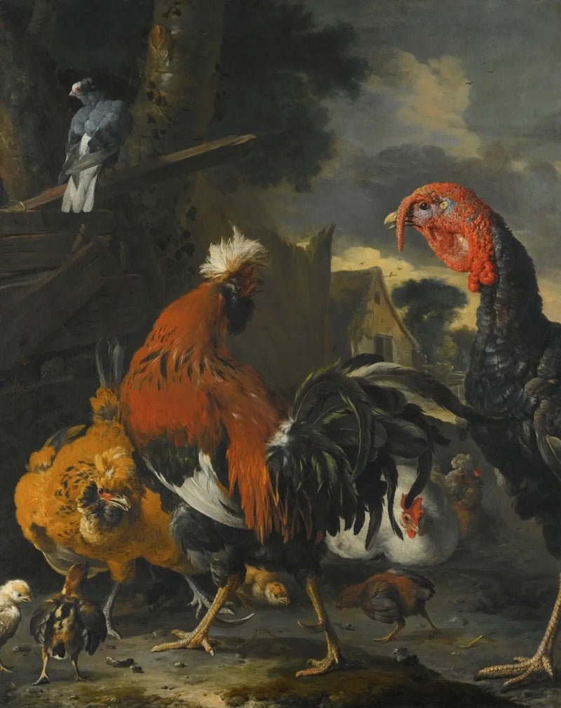 Um galo, um peru, galinhas e pintinhos em um quintal - Melchior de Hondecoeter