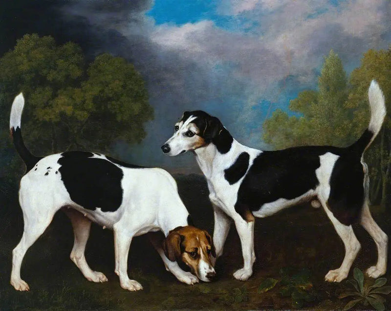 Um casal de Foxhounds - George Stubbs