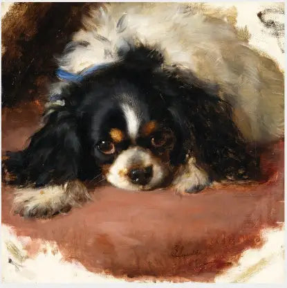 Um spaniel King Charles - Edwin Henry Landseer