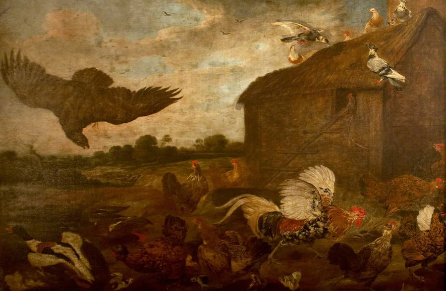 Un faucon fondant sur une volaille - Frans Snyders