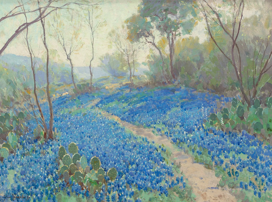Um lado de uma colina coberto de lupinos azuis, cedo pela manhã, perto de San Antonio, Texas. - Julian Onderdonk